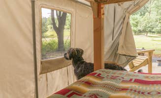 The Dyrt's photo of camping with pets at Baker's Spring Horse Camp near Rockport, MA