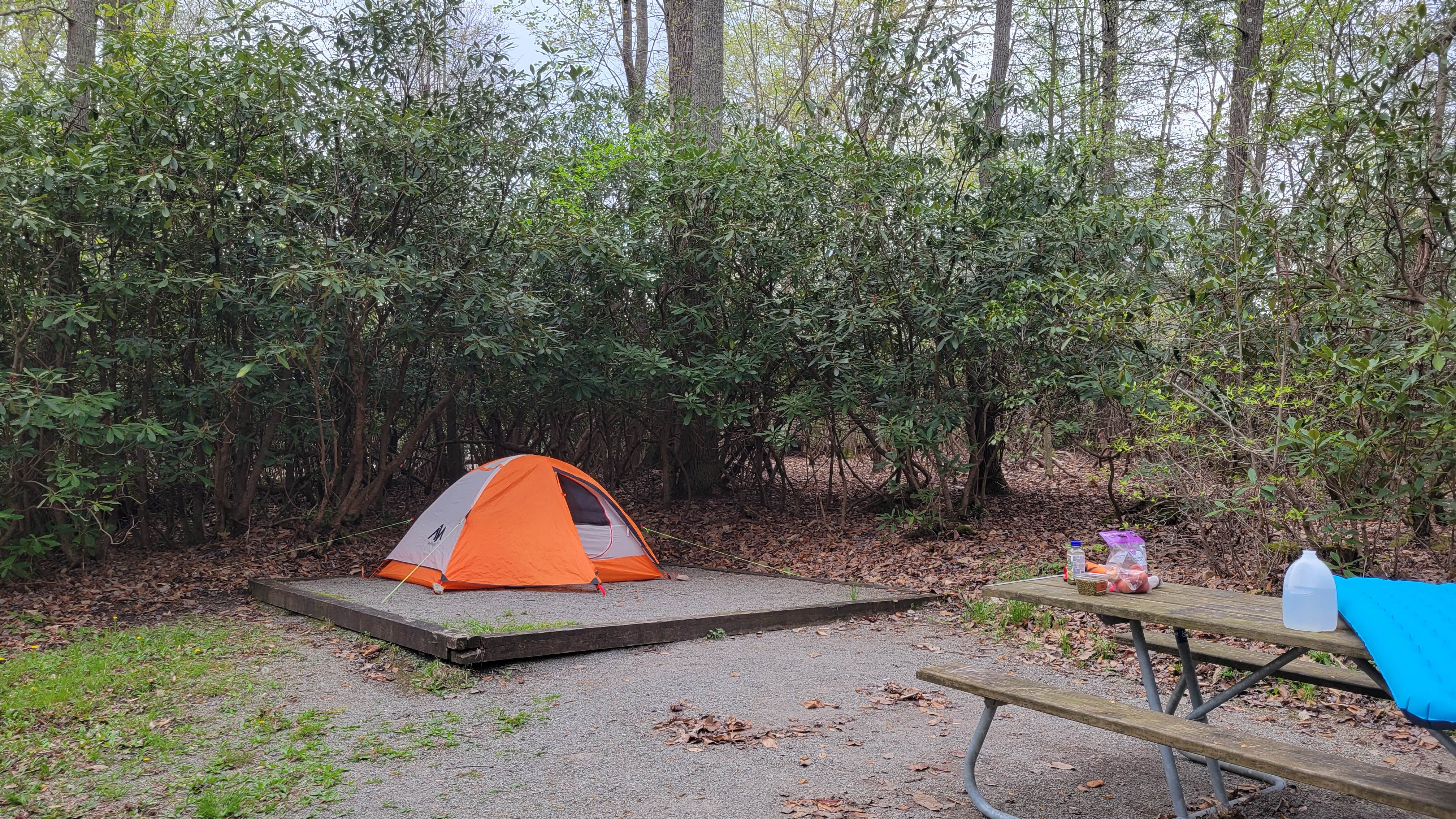 Camper submitted image from Stuart NF Campground - 1