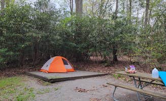 Ric M.'s photo at Stuart NF Campground near Glady, WV