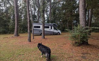 Howard R.'s photo of camping with pets at The Camp On The Bayou near Franklin, LA