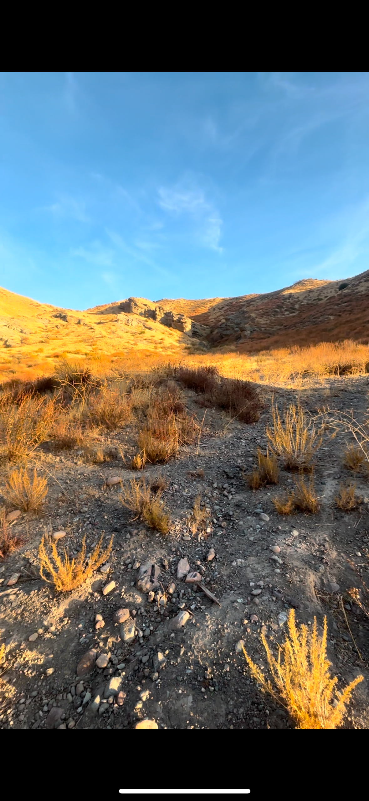 Camping near Valencia Travel Village: 45 Tick Canyon Road Parkway Community, Agua Dulce, California