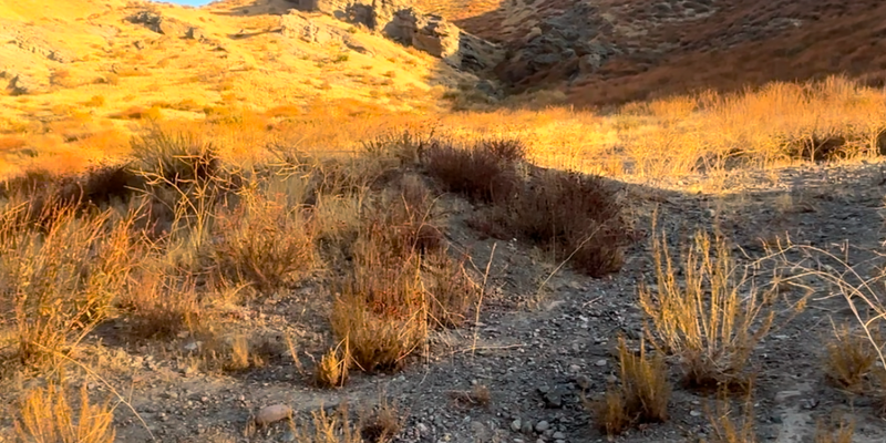 Camper submitted image from 45 Tick Canyon Road Parkway Community