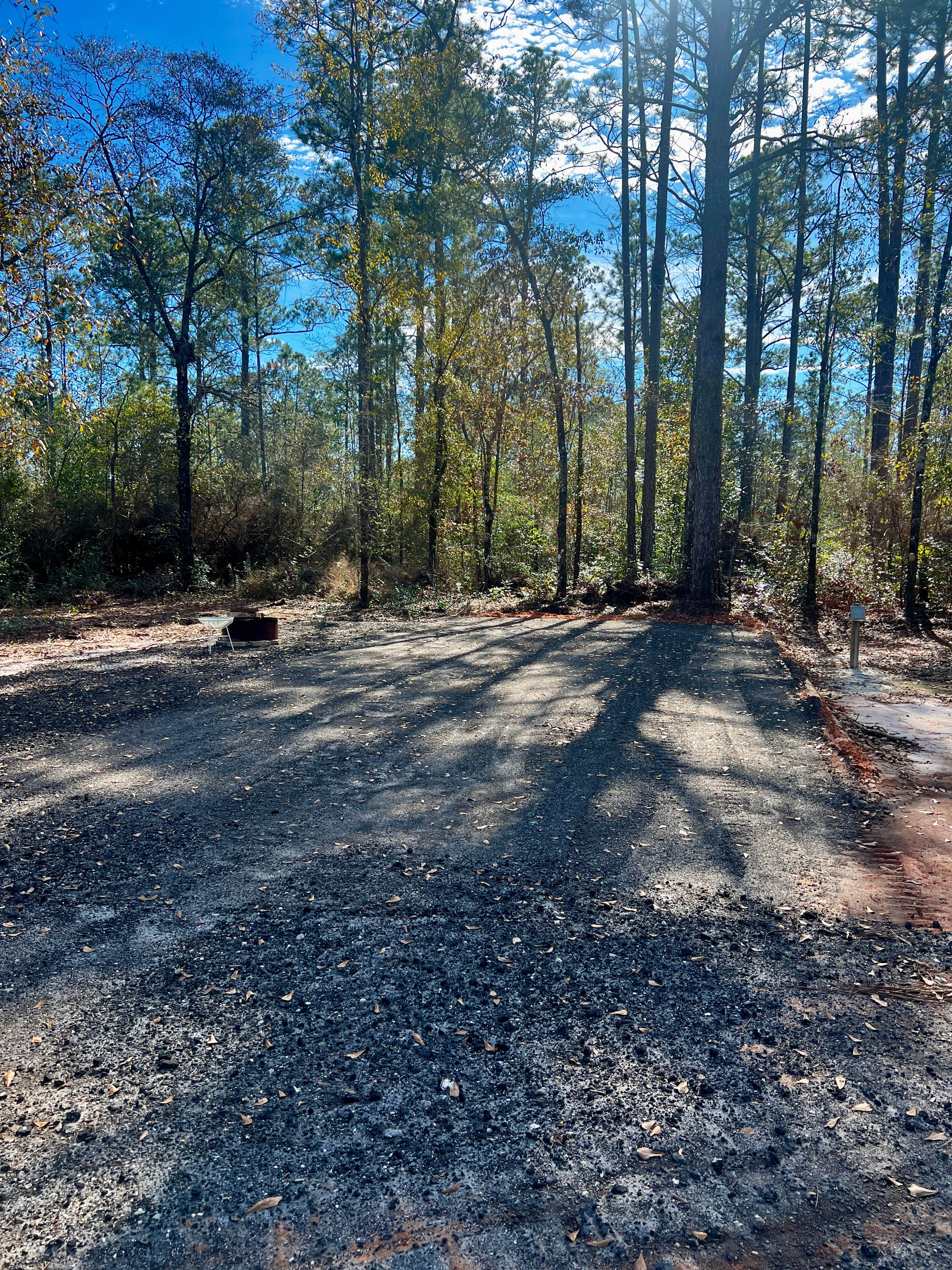 Camping near Pine Log State Forest Primitive Campsites: Nyxies Homestead, Ebro, Florida