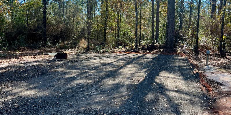 Camper submitted image from Nyxies Homestead