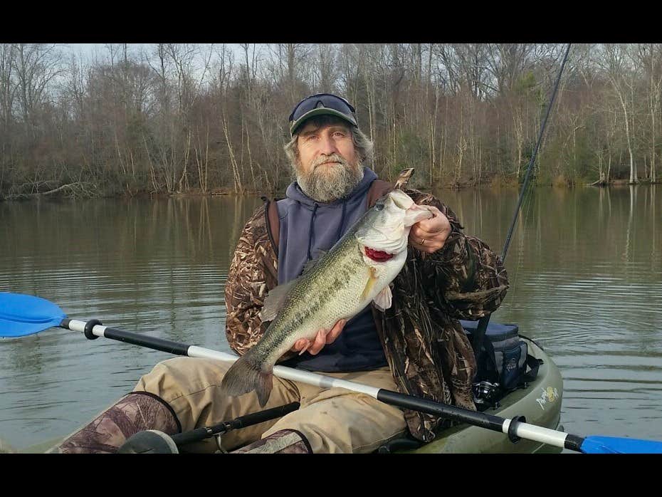 Camper submitted image from Blackwater Birds and Bees - 5