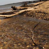 Review photo of Calvert Cliffs State Park Youth Group Camping by Anthony S., September 17, 2016