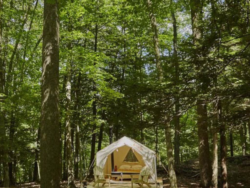The Dyrt's photo at Cooke’s Creek near Cornwall-on-Hudson, NY