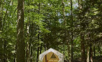 The Dyrt's photo at Cooke’s Creek near Holmes, NY