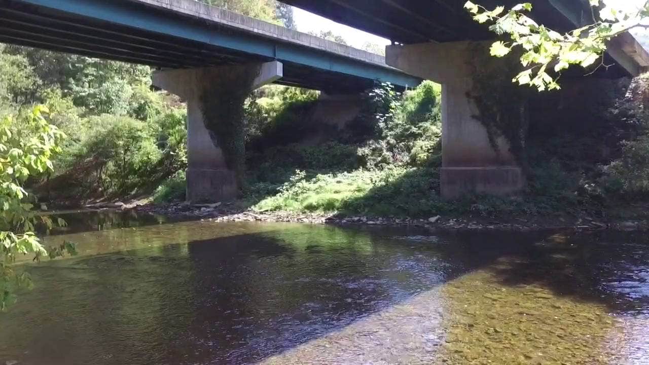 Camper-submitted photo at Little Coal River Retreat LLC near Dunbar, WV