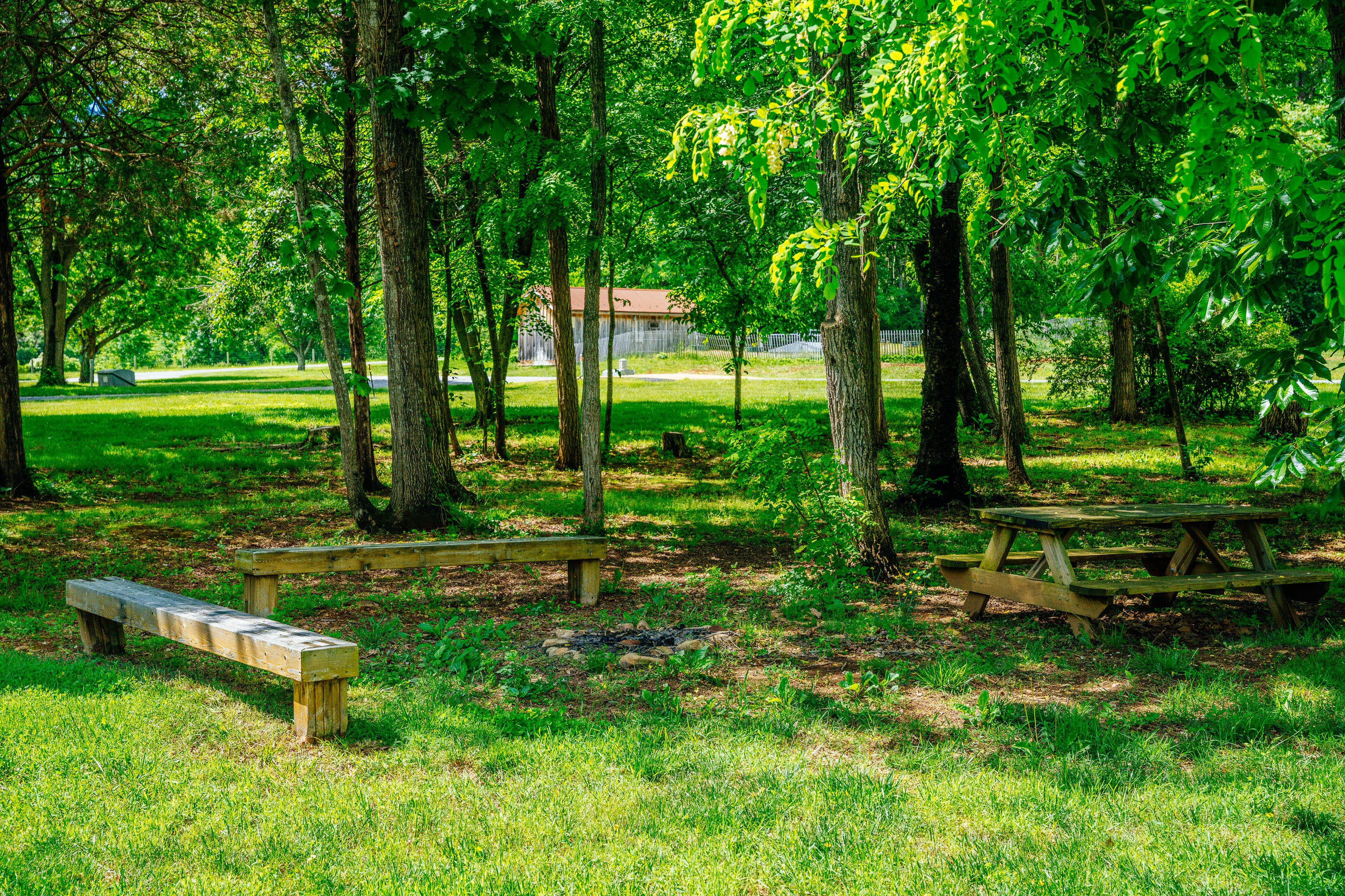 Camper-submitted photo at Devils Backbone Camp near Wingina, VA