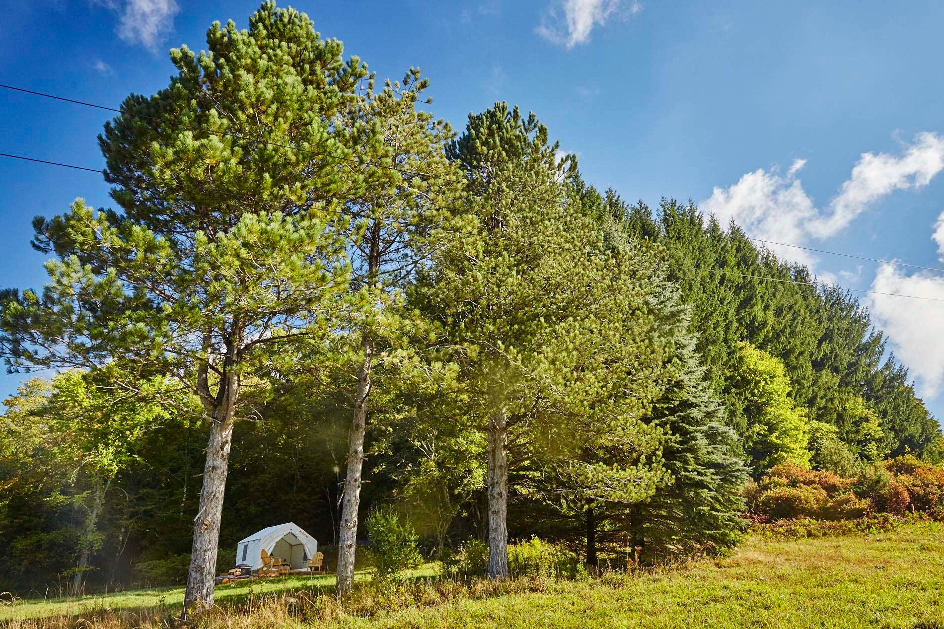 The Dyrt's photo at Whispering Pines Campsite near Downsville, NY