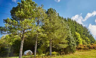 The Dyrt's photo at Whispering Pines Campsite near Downsville, NY