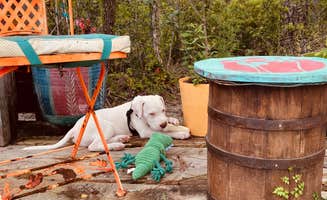 Paul M.'s photo of camping with pets at Crockett Landing near Harkers Island, NC