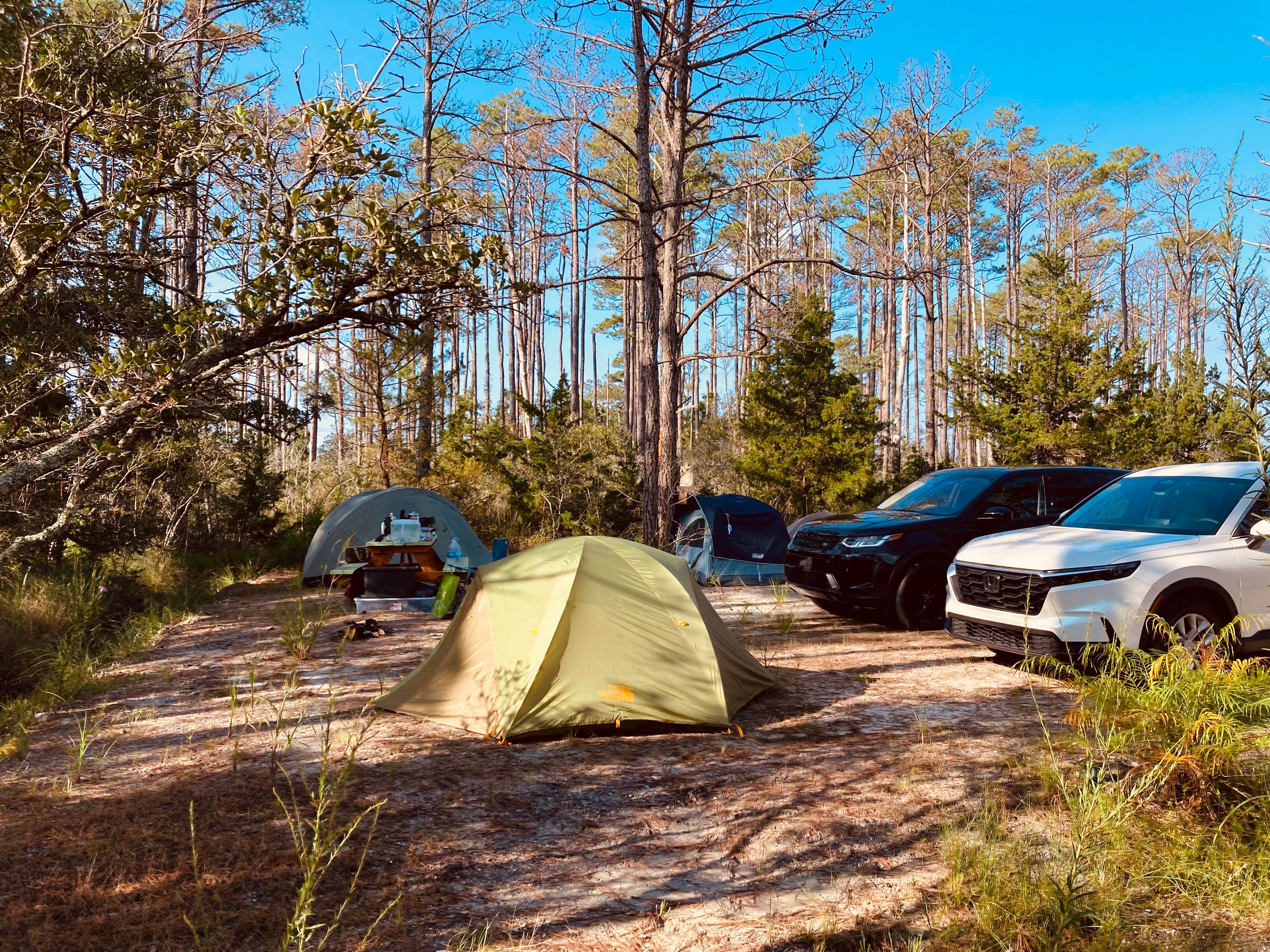 Paul M.'s photo at Crockett Landing near Marshallberg, NC