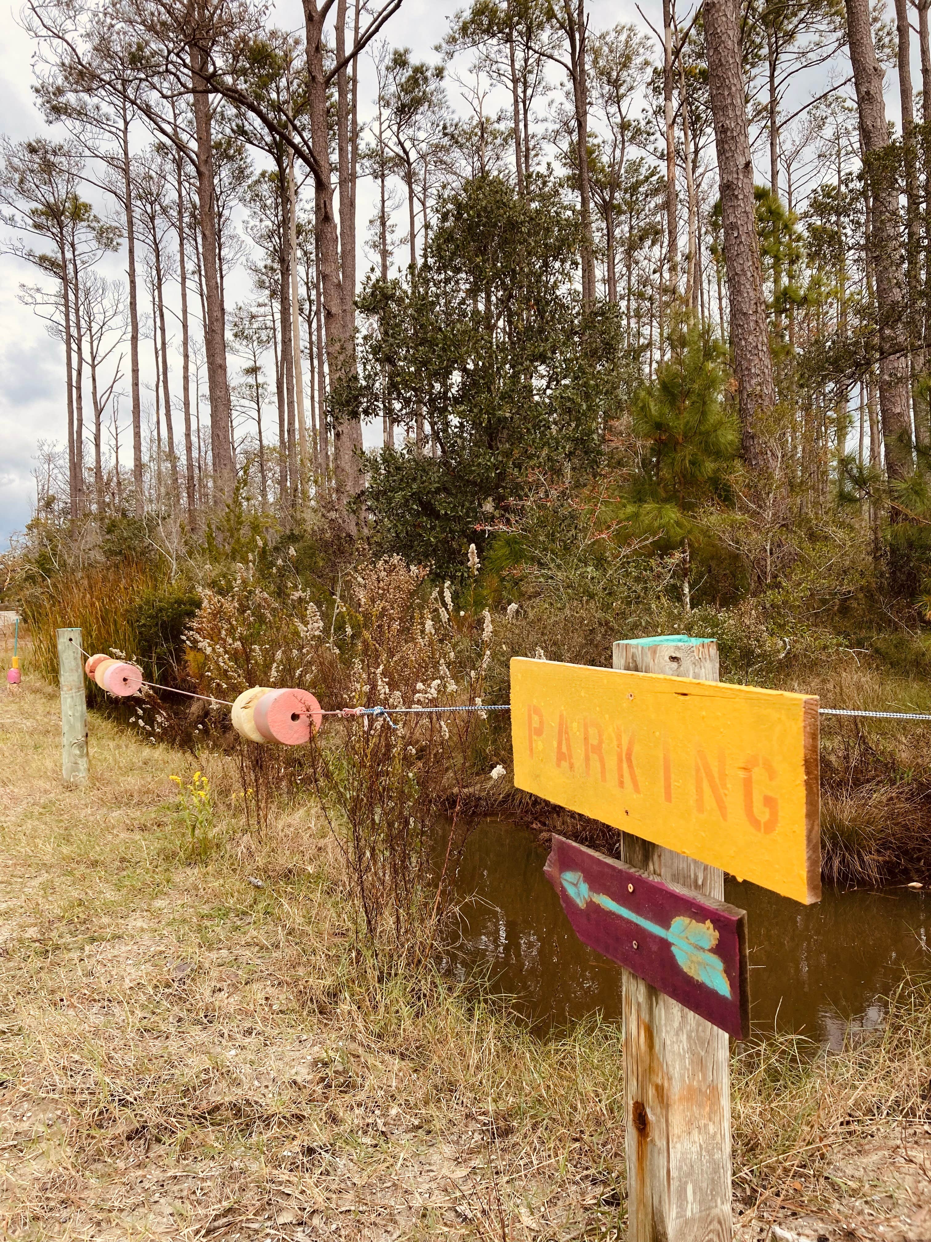 Camper-submitted photo at Crockett Landing near Marshallberg, NC
