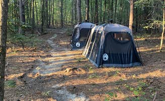 Peter S.'s photo of tent camping at Michelia's Forest near Hiram, GA