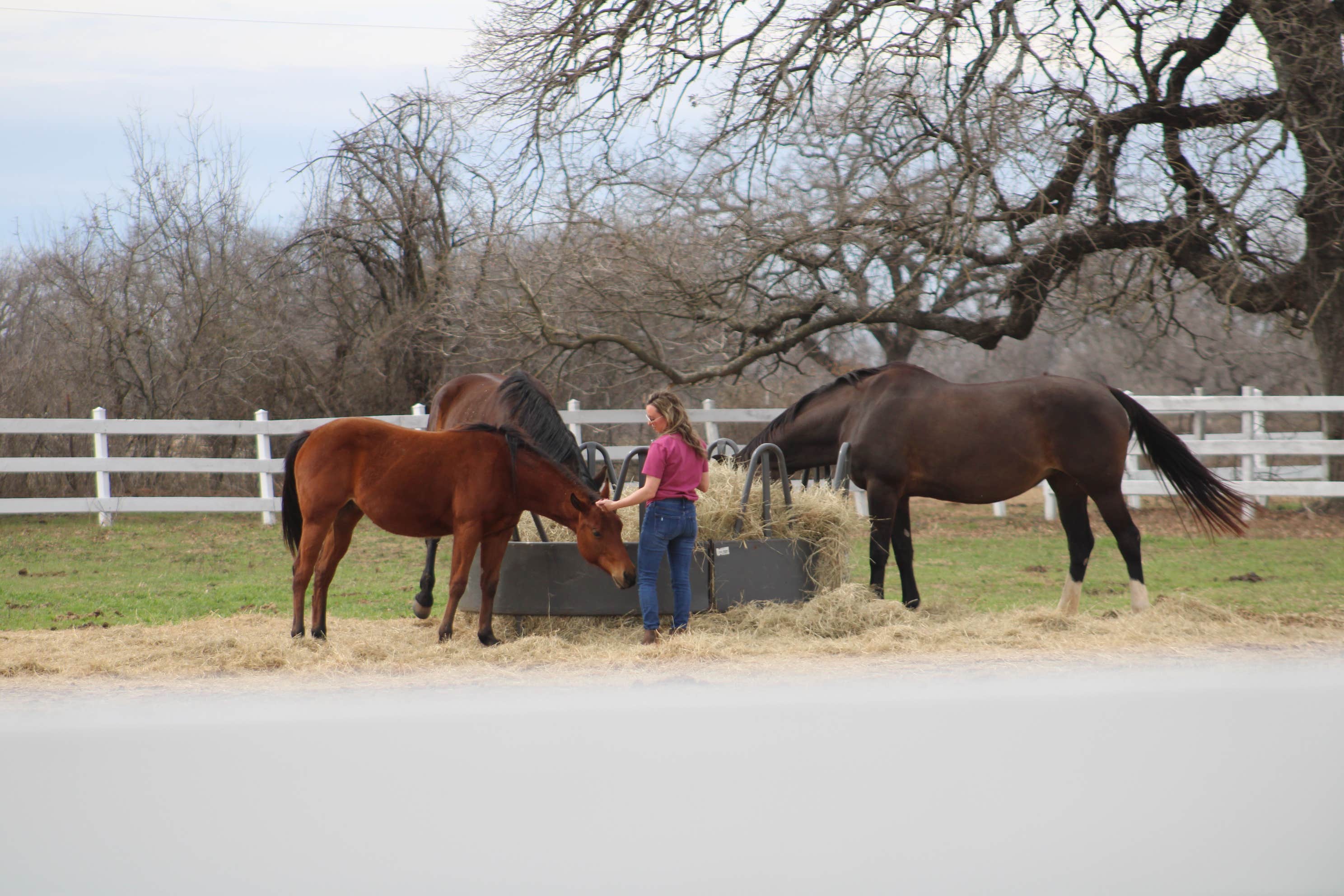 Camping near De Cordova Bend: Freedom Equestrian Center, Granbury, Texas