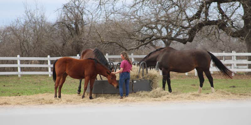 Camper submitted image from Freedom Equestrian Center