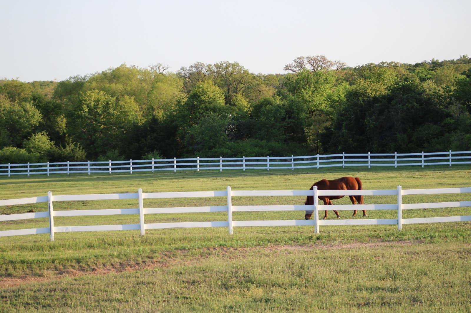 Camper submitted image from Freedom Equestrian Center - 2