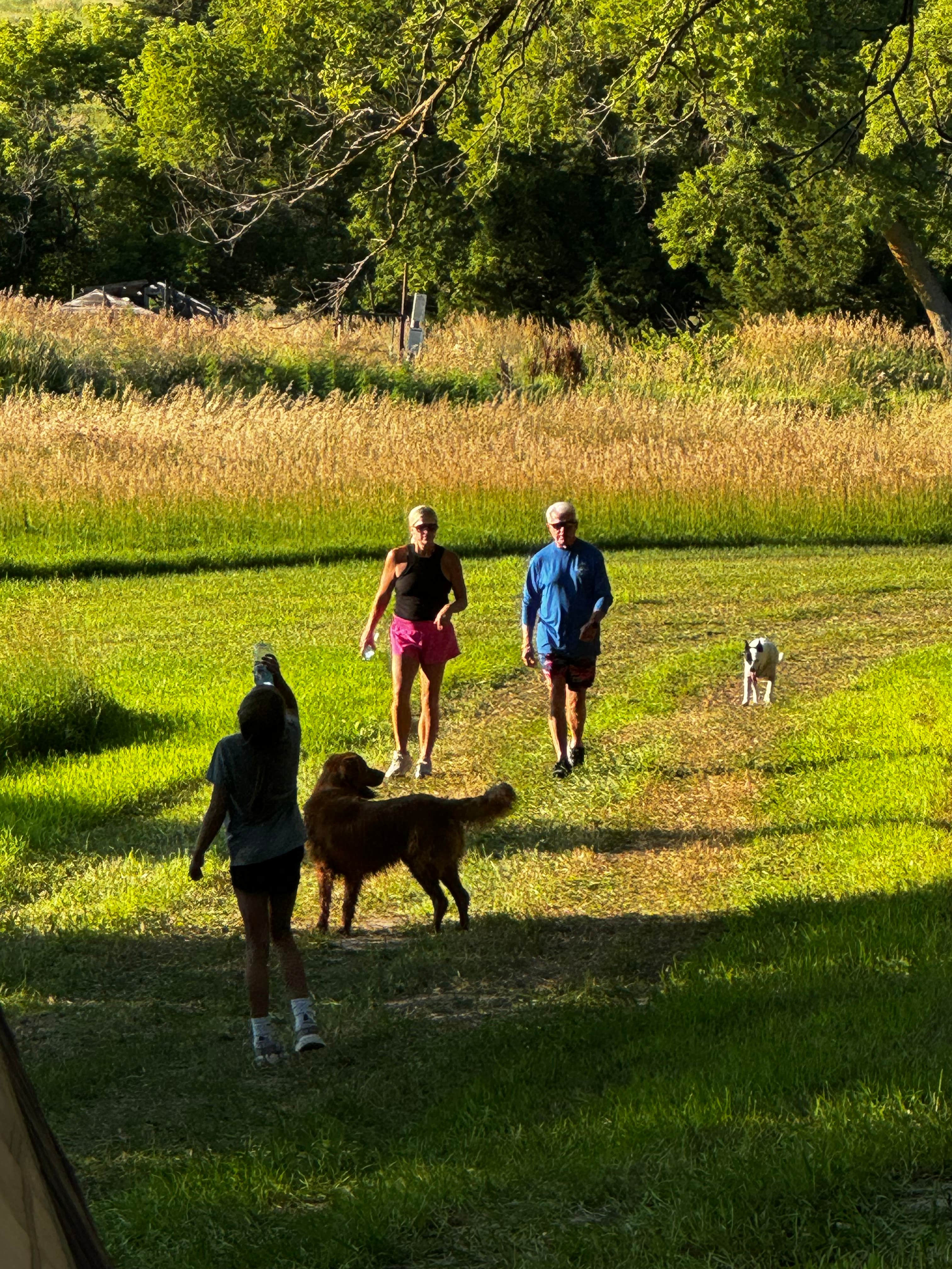 Luke R.'s photo of camping with pets at Potters Pasture near Elwood, NE