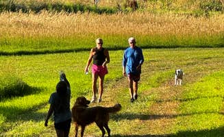 Luke R.'s photo of camping with pets at Potters Pasture near Gothenburg, NE