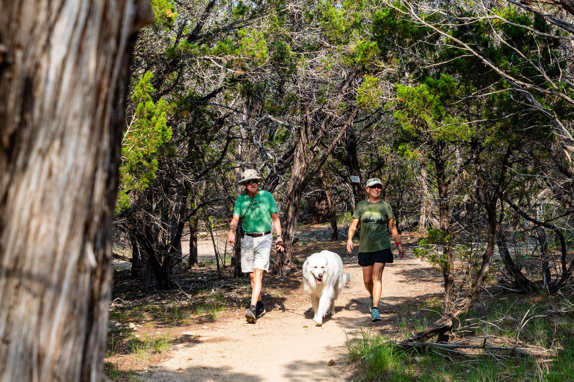 Camper submitted image from Kerrville-Schreiner Park - 1