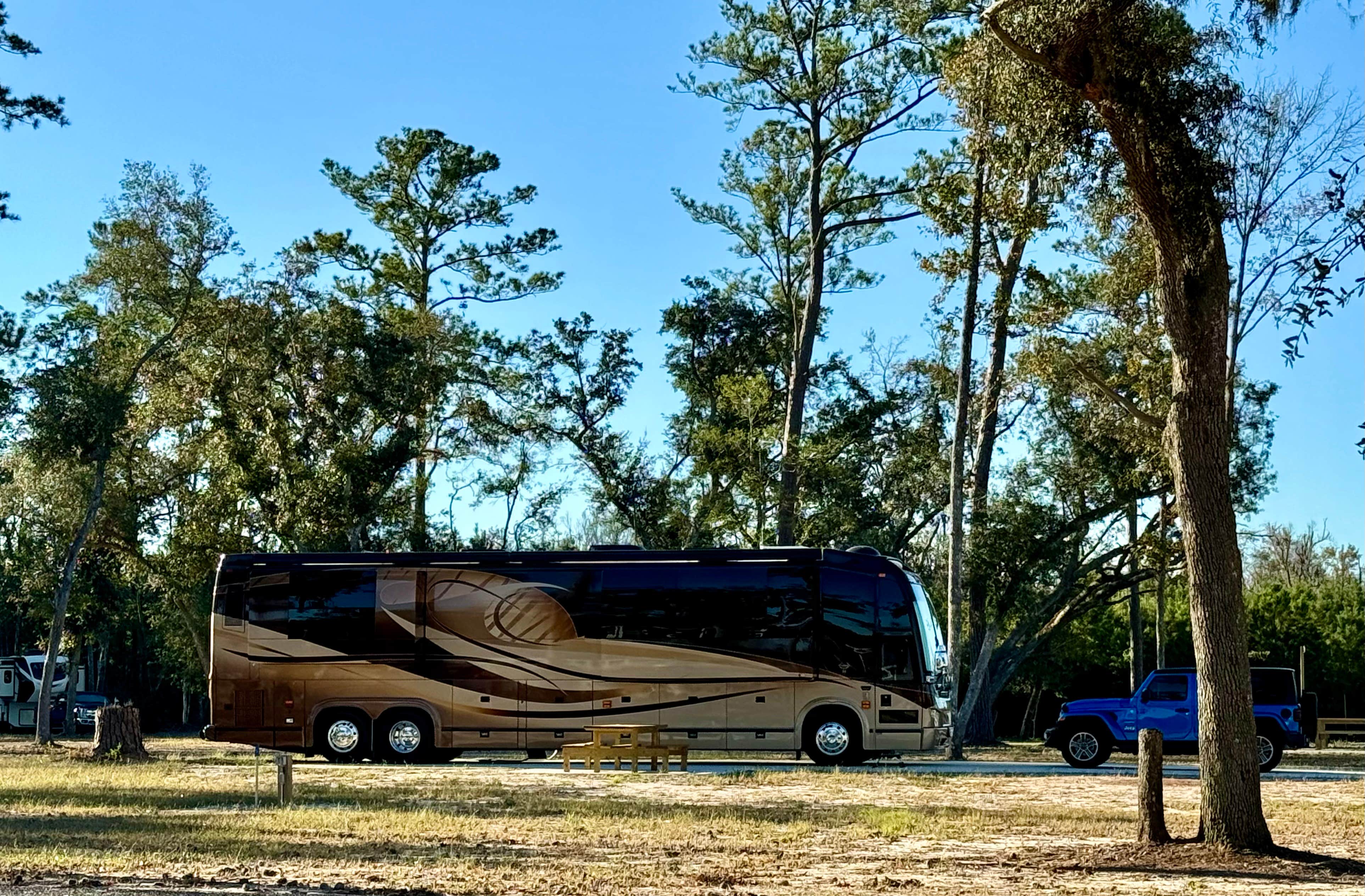 Camper-submitted photo at Legacy RV Resort near Darien, GA