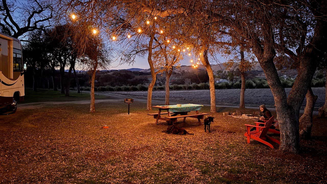 dond's photo of camping with pets at Road's End, Bradley Lockwood near Bradley, CA