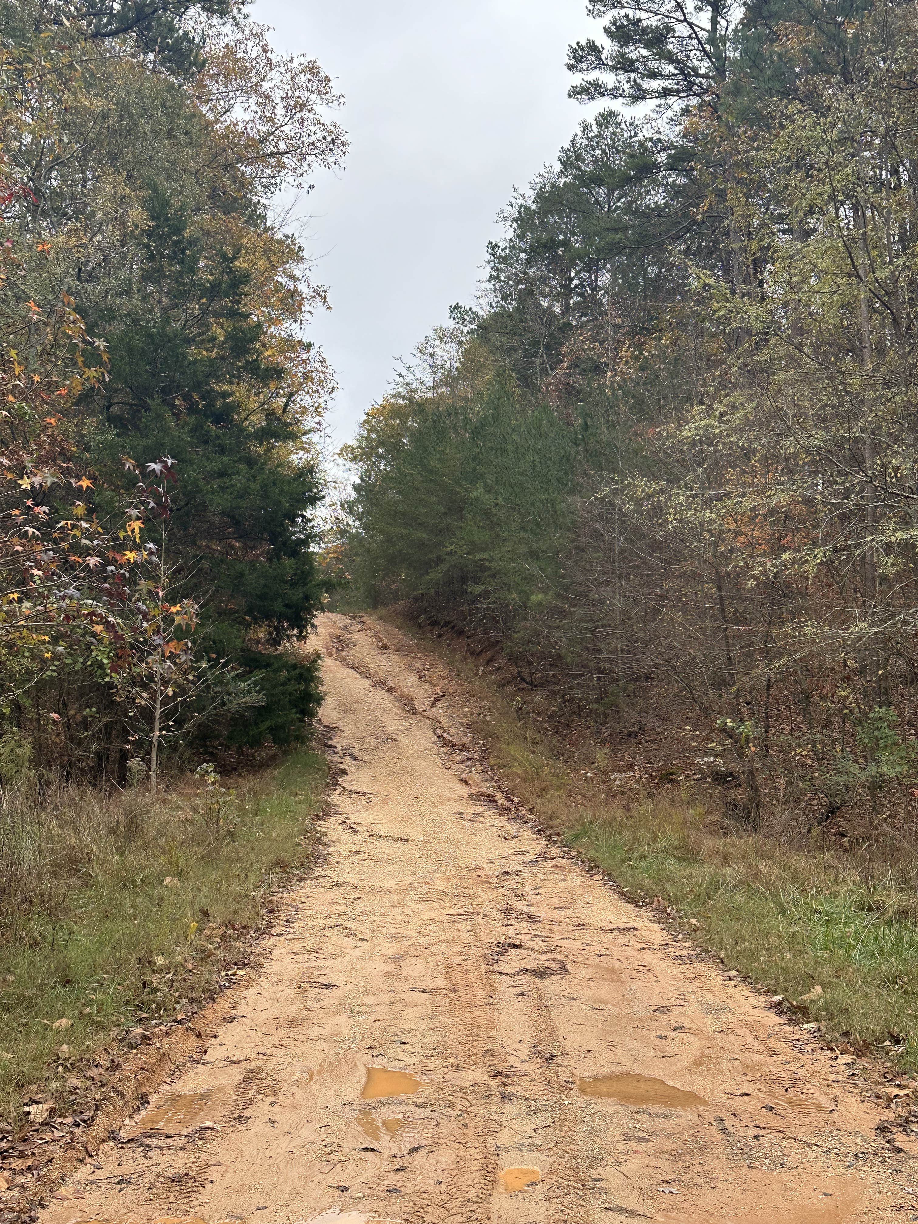 Camper-submitted photo at Michelia's Forest near Cave Spring, GA