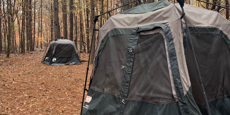 Camper submitted image from Michelia's Forest