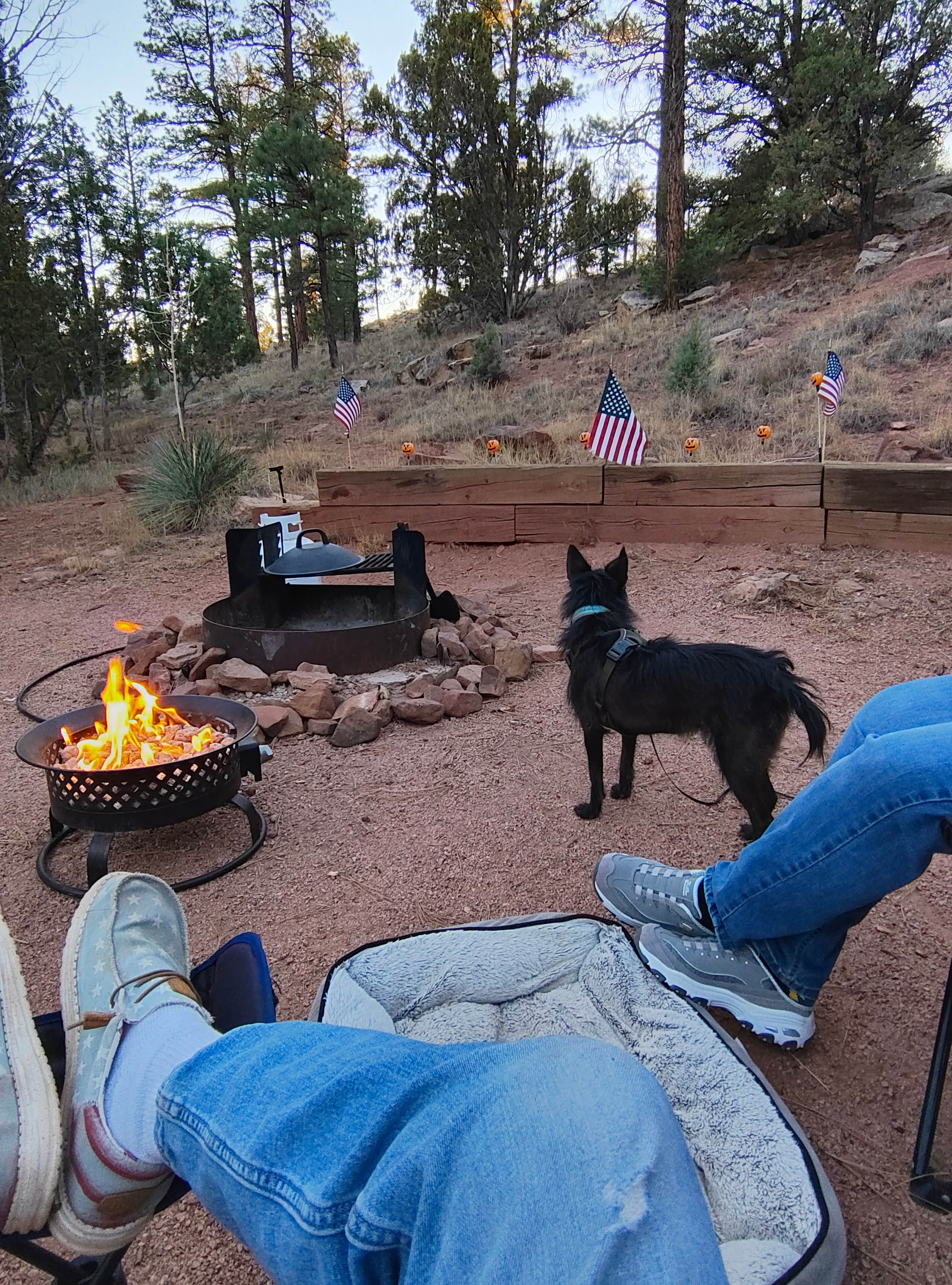 Kimberly  M.'s photo at Fool Hollow Lake Recreation Area Campground near Pinetop-Lakeside, AZ