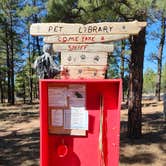 Review photo of Fool Hollow Lake Recreation Area Campground by Kimberly  M., January 25, 2025