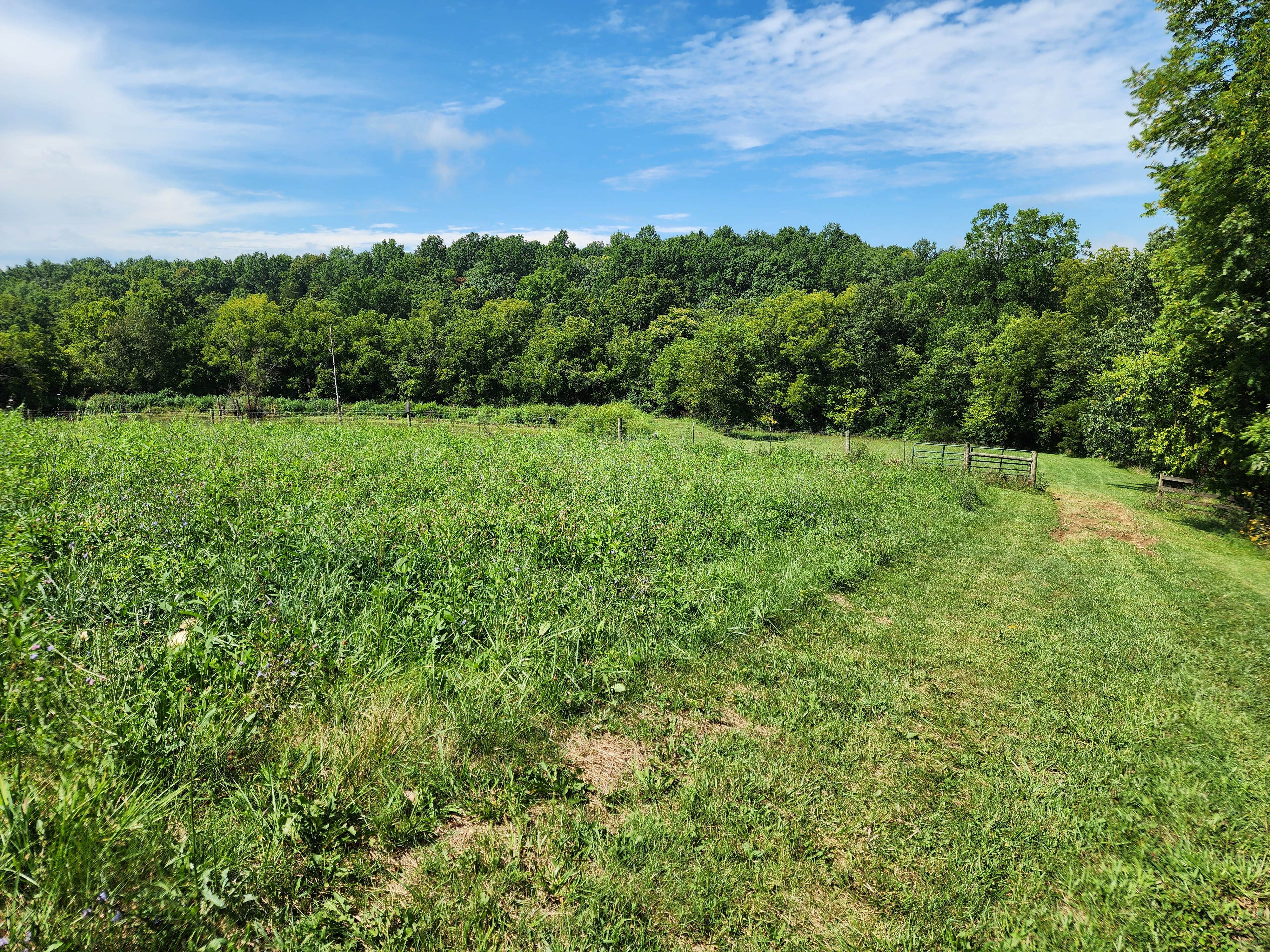 Camper-submitted photo at Bourbon Trail Campground near Stanford, KY
