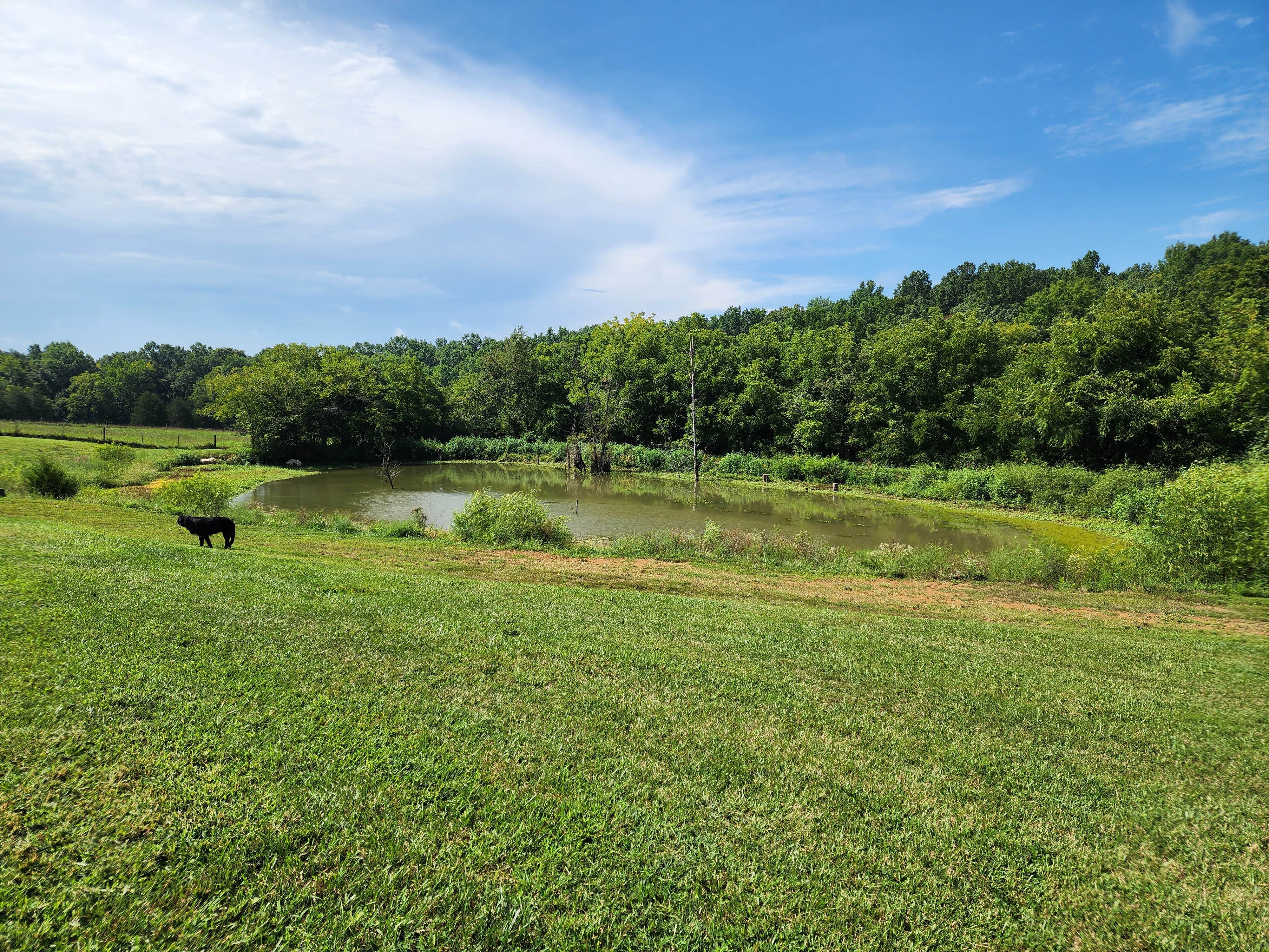 Camper-submitted photo at Bourbon Trail Campground near Stanford, KY