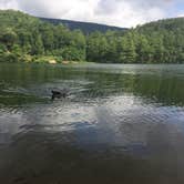 Review photo of Douthat State Park Campground by Molly G., September 17, 2016