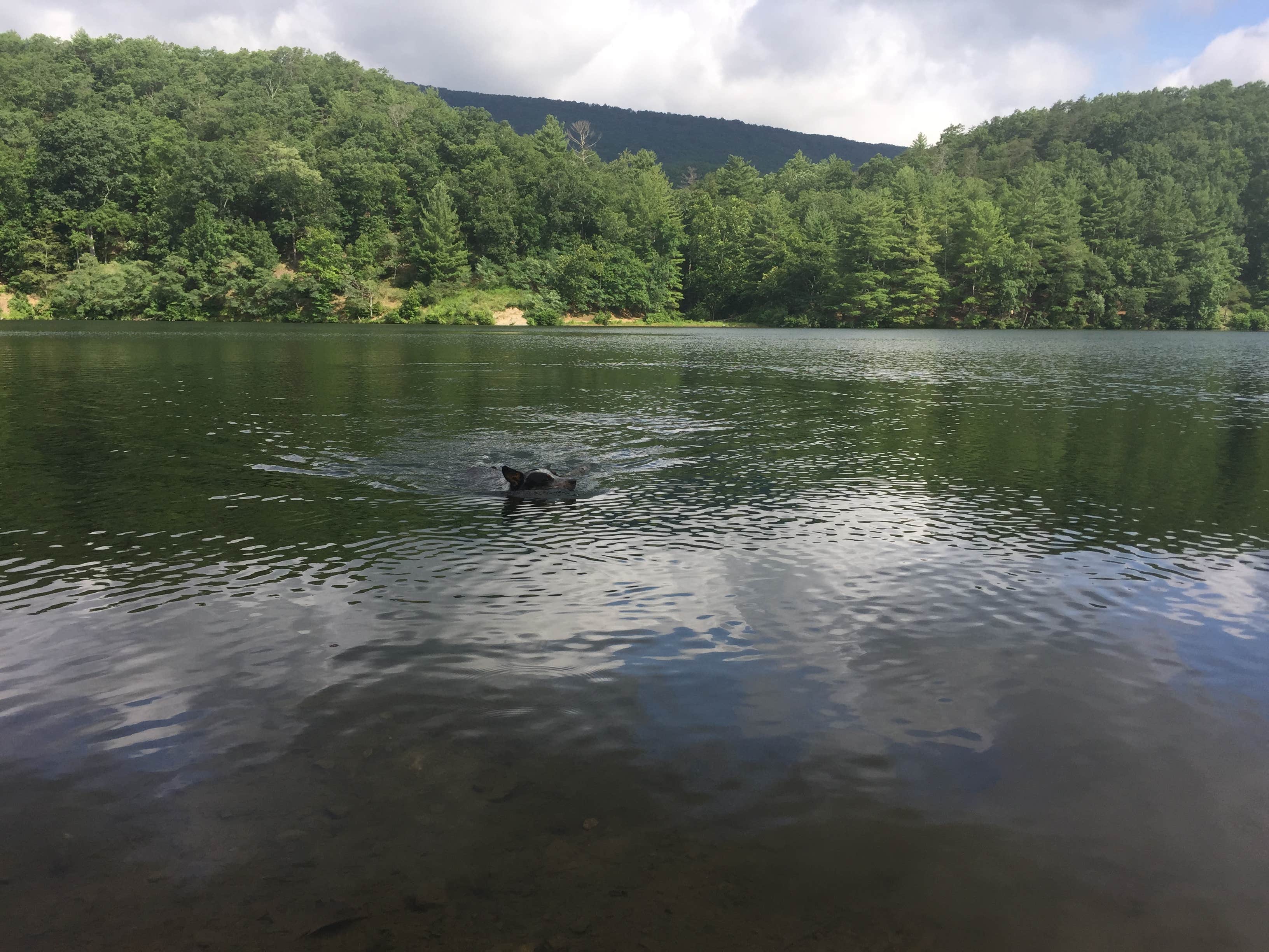 Camper submitted image from Douthat State Park Campground - 3
