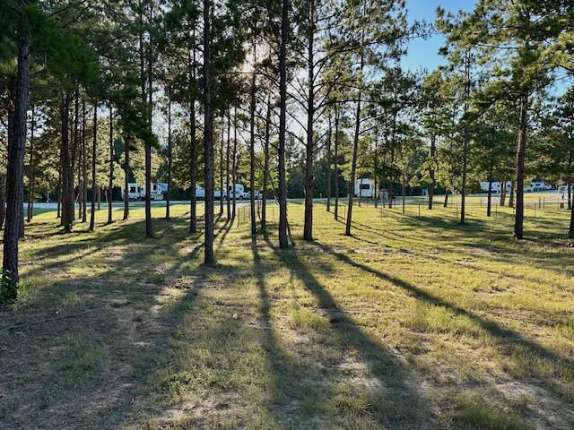 Camper-submitted photo at Magnolia Springs RV Park near Kennard, TX
