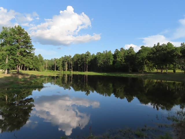 Camper-submitted photo at Magnolia Springs RV Park near Kennard, TX
