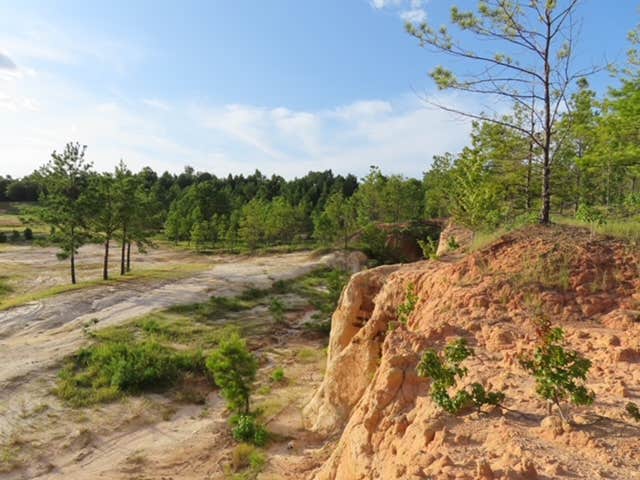 Camper-submitted photo at Magnolia Springs RV Park near Kennard, TX
