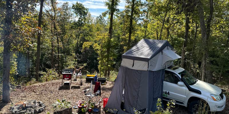 Camper submitted image from Overland Camping Ocoee
