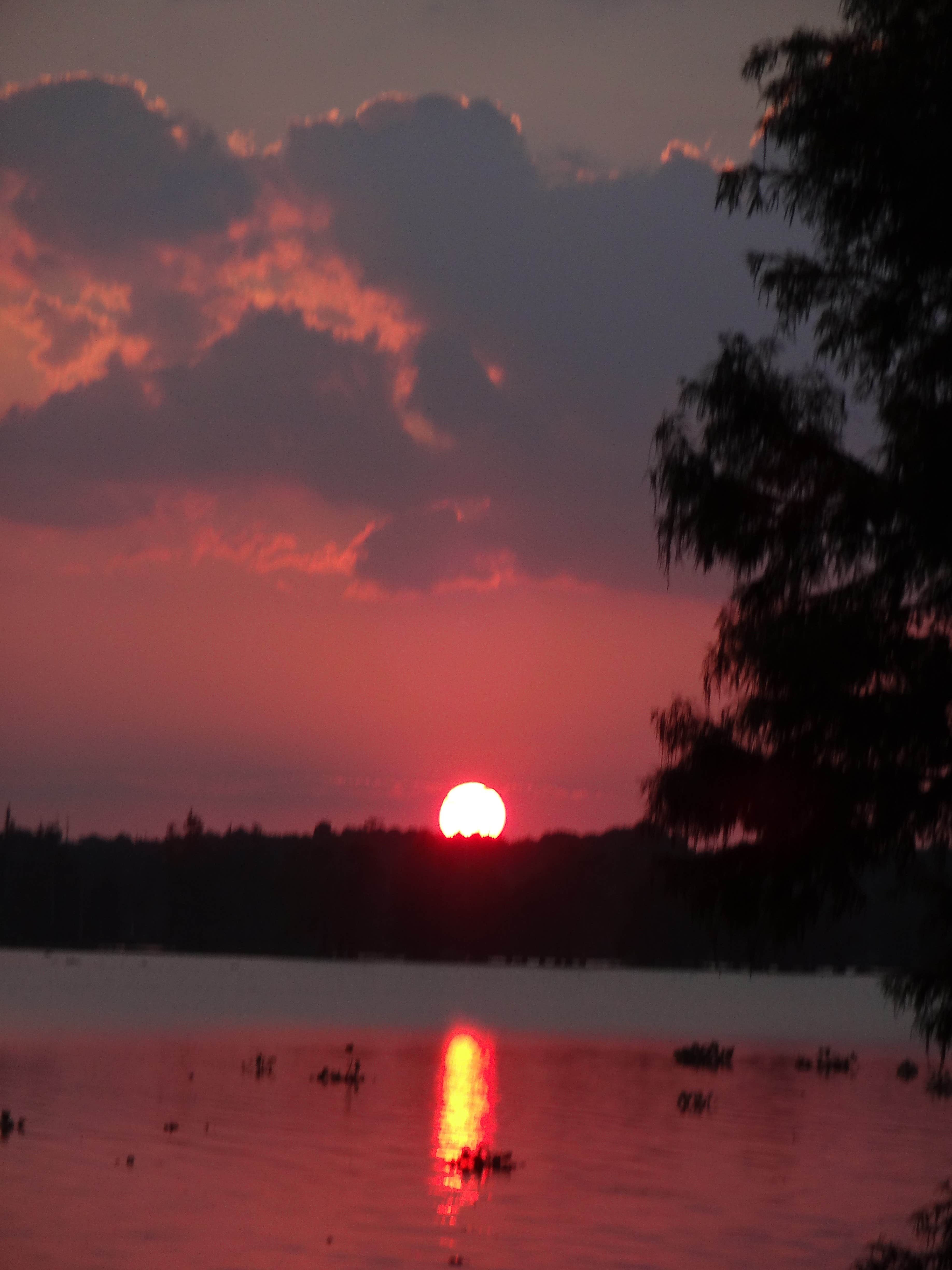 Camper-submitted photo at Elliotts Landing and Campground, LLC near Pinewood, SC