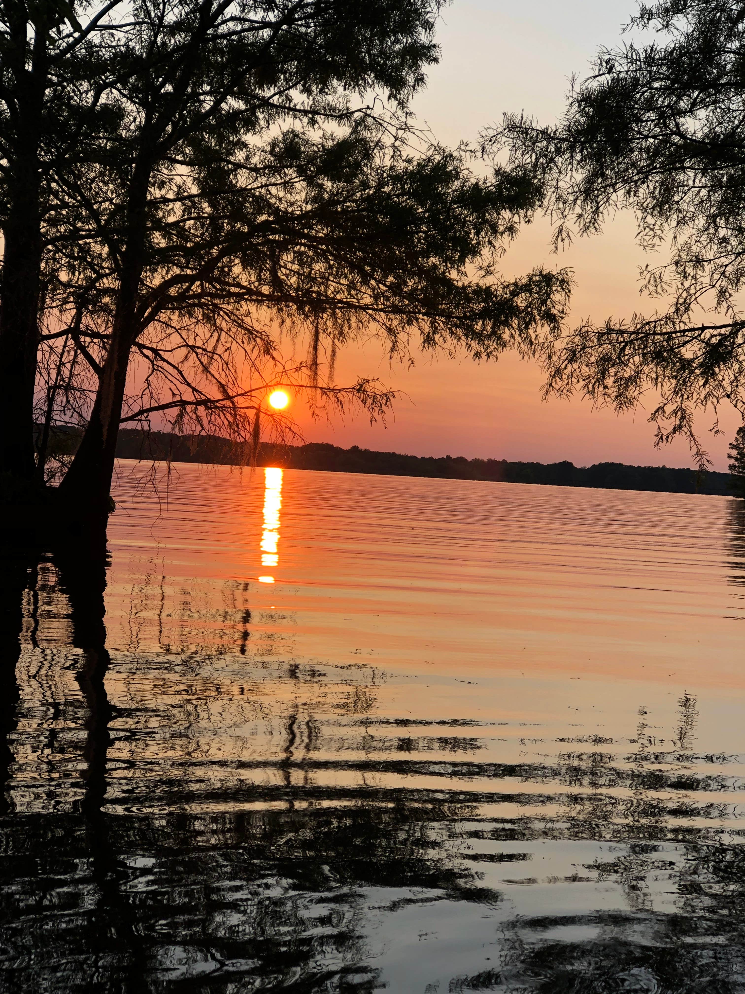 Camper-submitted photo at Elliotts Landing and Campground, LLC near Pinewood, SC
