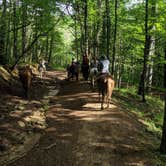 Review photo of Pipestem Resort State Park Campground by Swain K., July 1, 2019