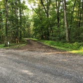 Review photo of Green Ridge State Forest by Tony M., July 1, 2019