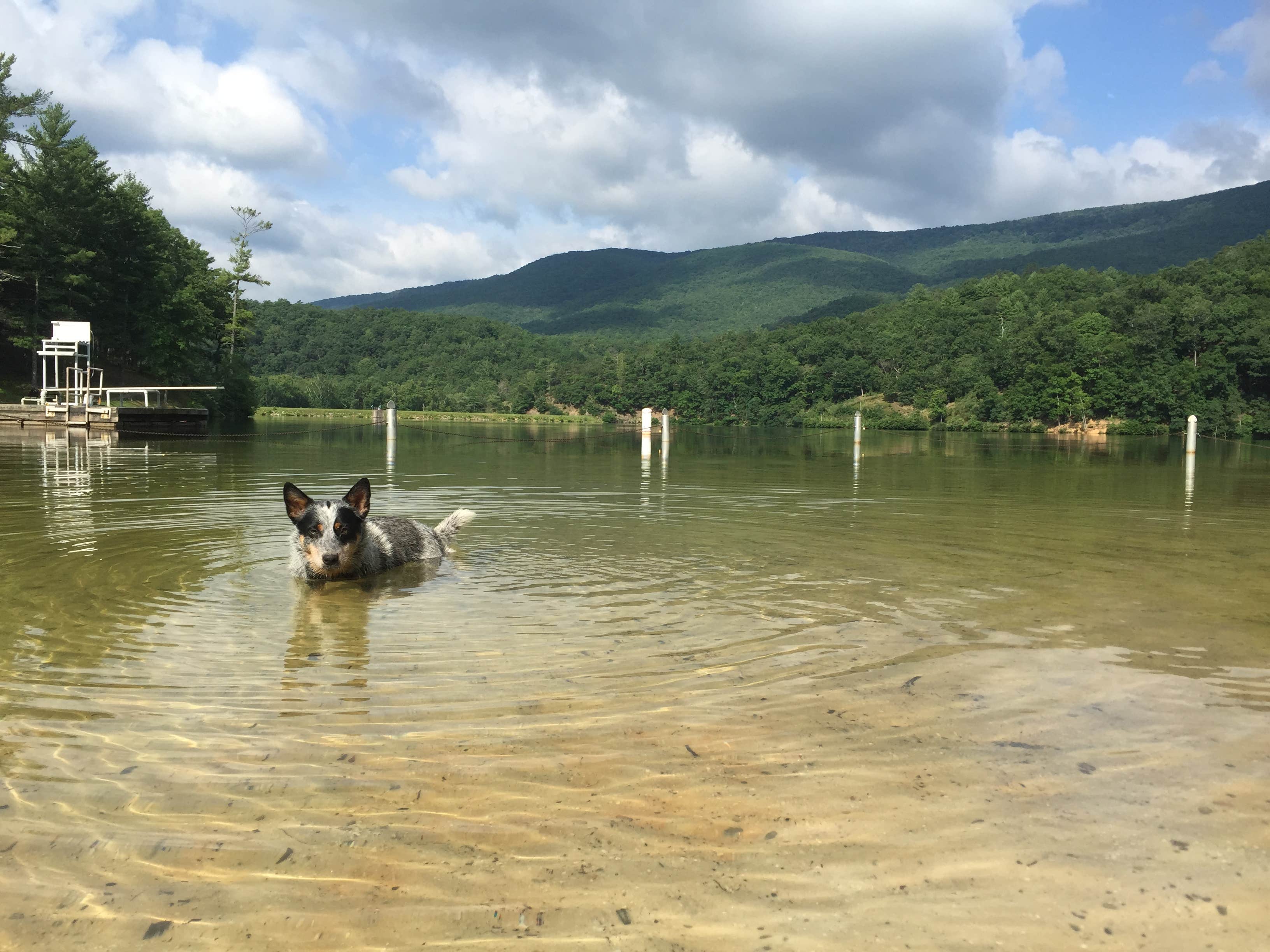 Camper-submitted photo at Douthat State Park Campground near Vesuvius, VA