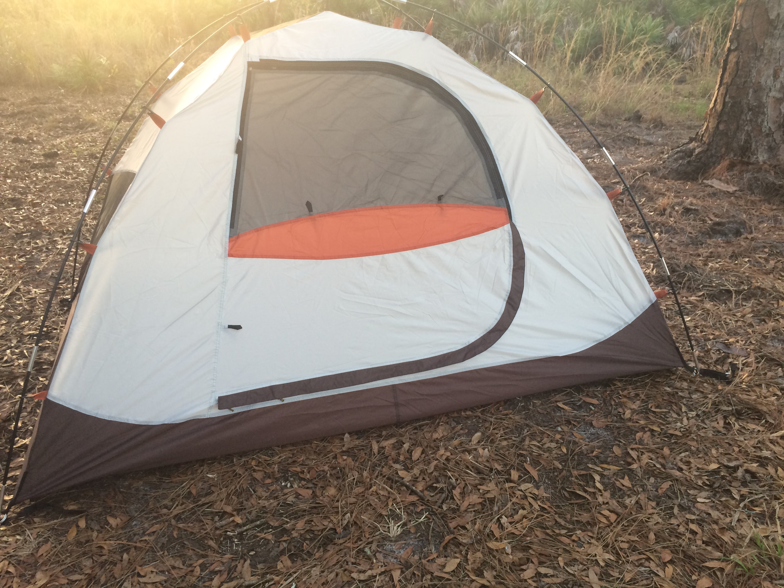 Camper submitted image from Jay B. Starkey Wilderness Park - 5