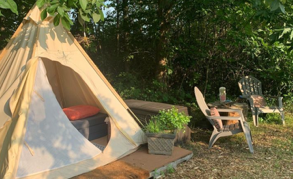 Mandi B.'s photo of tent camping at Campside Michigan near Gary, IN