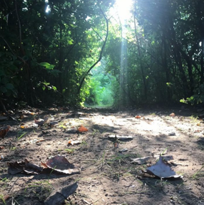 Camper-submitted photo at Campside Michigan near Union Pier, MI