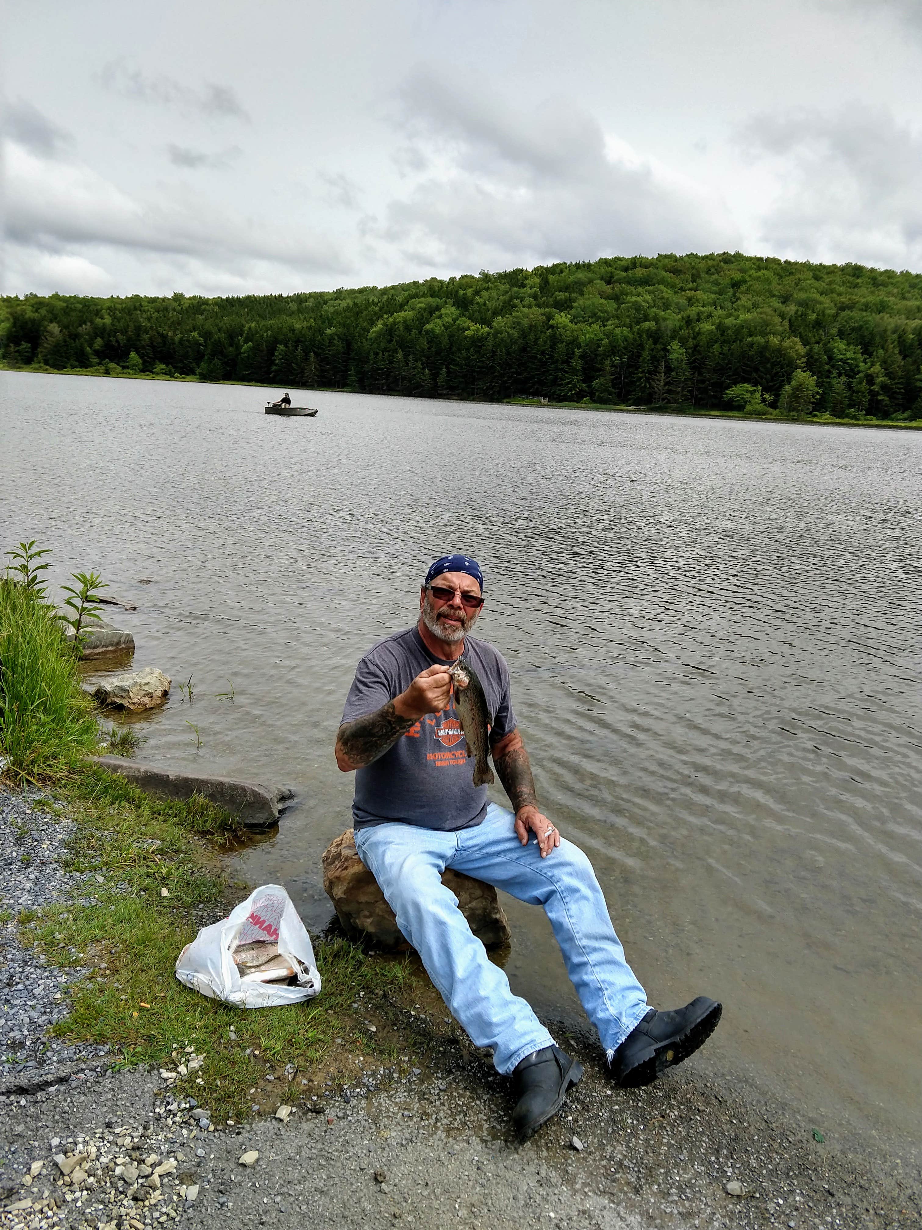 Spruce Knob and Spruce Knob Observation Tower The Dyrt