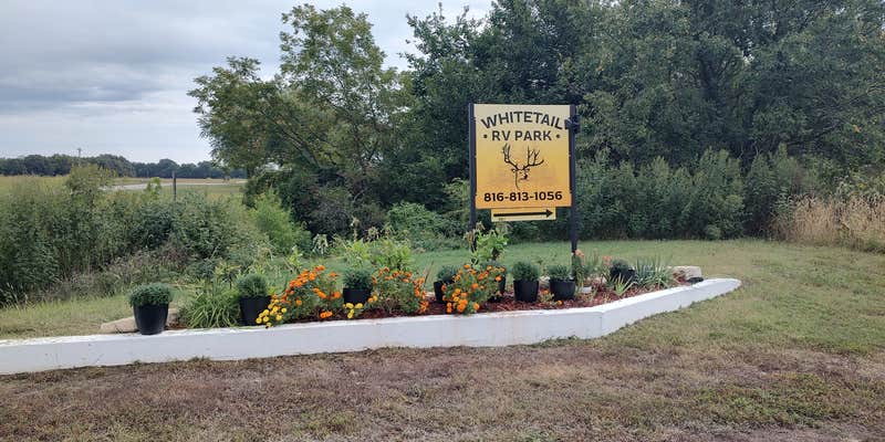 Camper submitted image from Whitetail RV Park